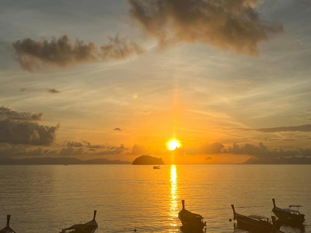 a group of birds in the water at sunset at Cabana Lipe Beach Resort in Ko Lipe