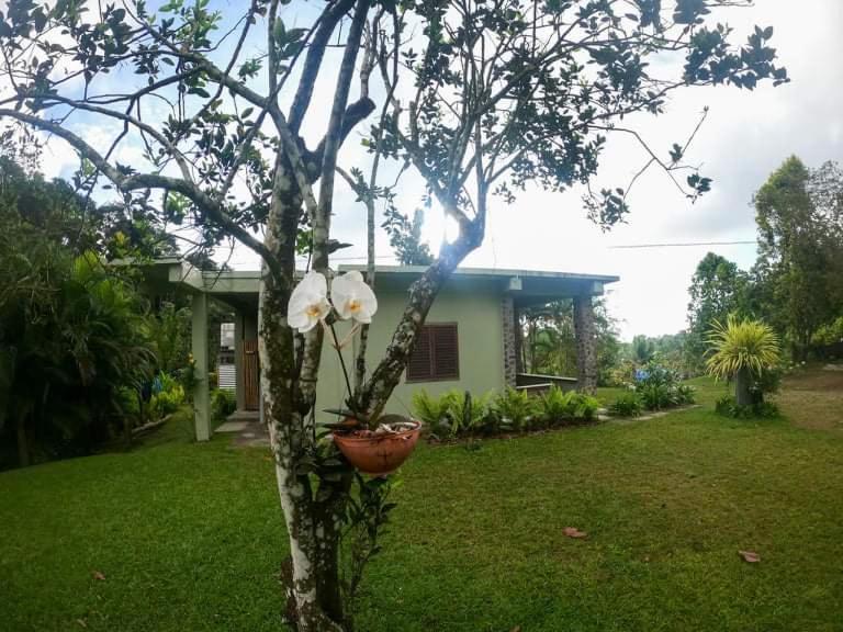 Country house Amazona Nest, St Vincent & Grenadines