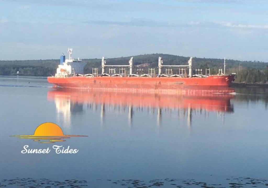 a large red container ship on the water at Sunset Tides in Oak Haven