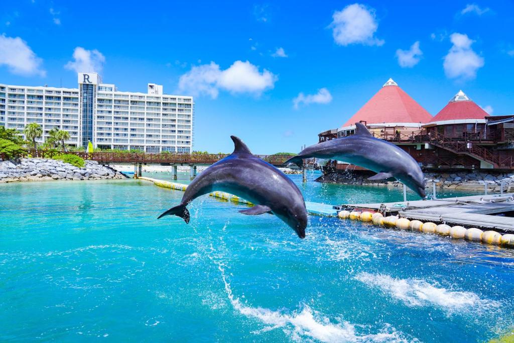 two dolphins jumping in the water at a resort at Renaissance Okinawa Resort in Onna