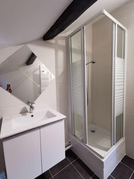 Kúpeľňa v ubytovaní Studio sous les toits proche Paris et Versailles
