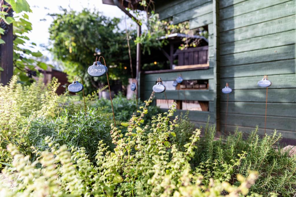 Zahrada ubytování Zirbenholz Tiny House "Waldhauszeit" am See