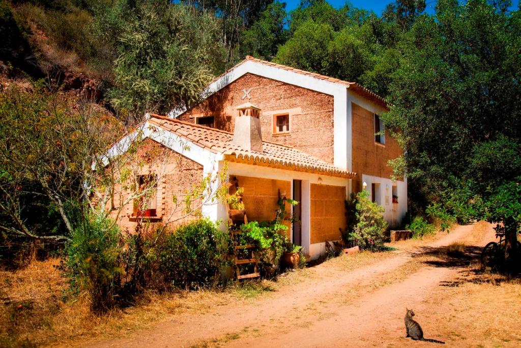 a house on a dirt road with a cat in front of it at Casas da Cerca in Troviscais