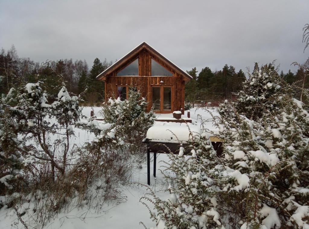 a small wooden cabin in the snow with trees at Valipe Puhkemaja in Valipe