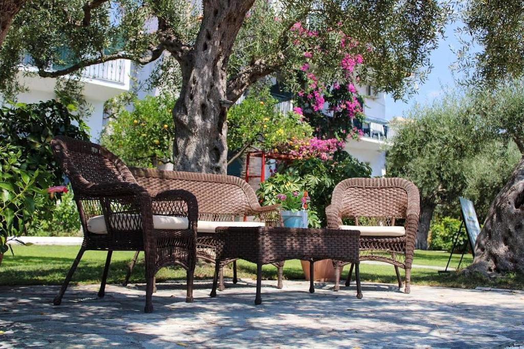 tres sillas de mimbre y una mesa bajo un árbol en Giovanni Group Apartments, en Sivota