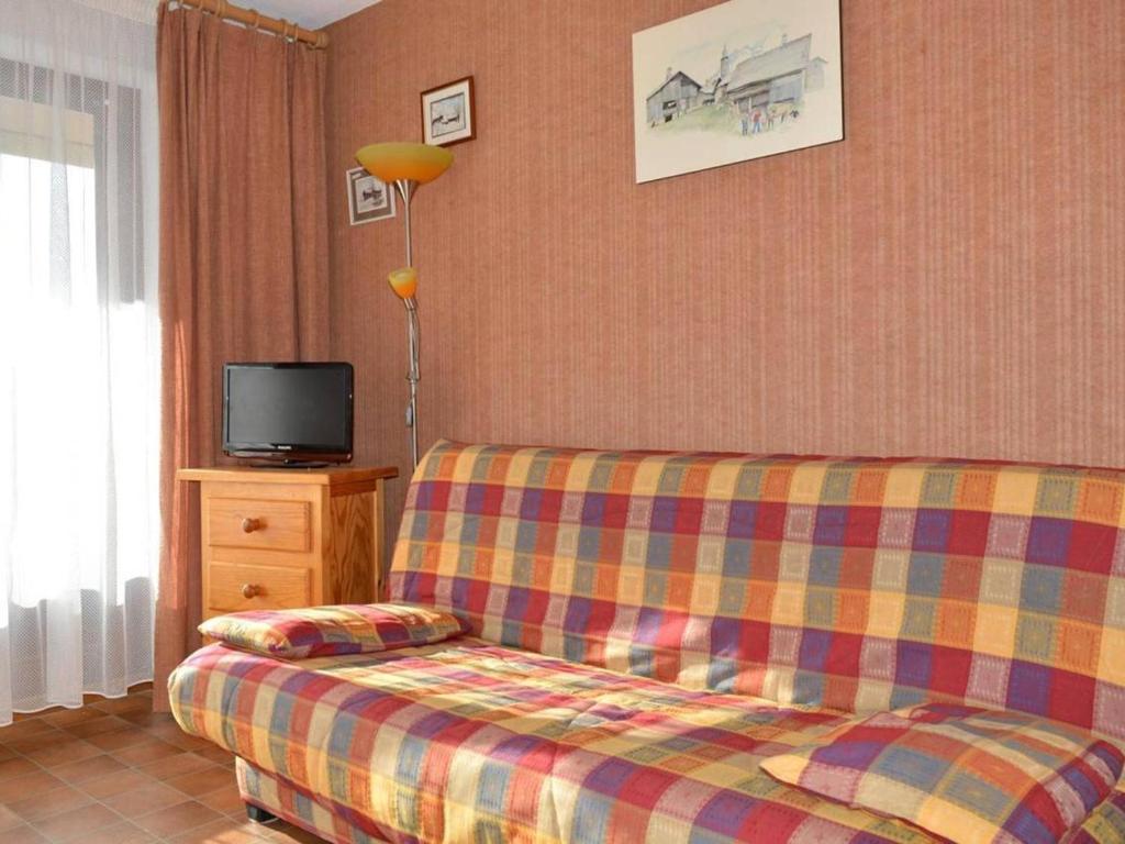 sala de estar con sofá y TV en Appartement Le Grand-Bornand, 1 pièce, 4 personnes - FR-1-241-96, en Le Grand-Bornand