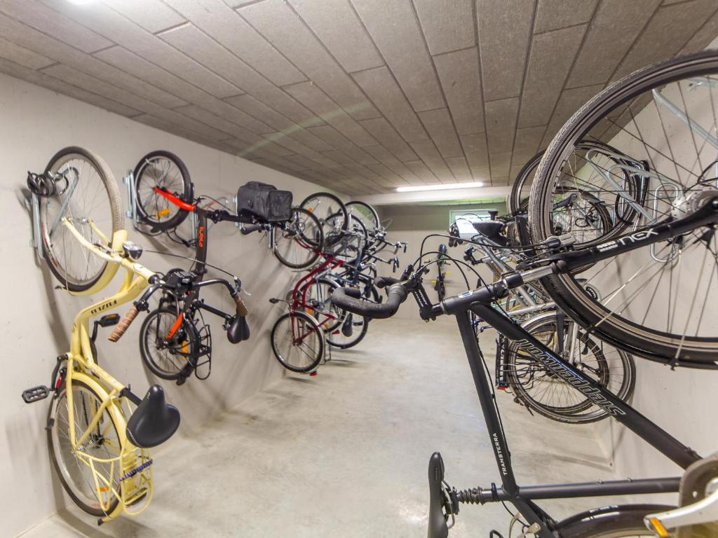 Jazda na bicykli v okolí ubytovania CHILLIapartamenty - Bliżej Morza - KARLA
