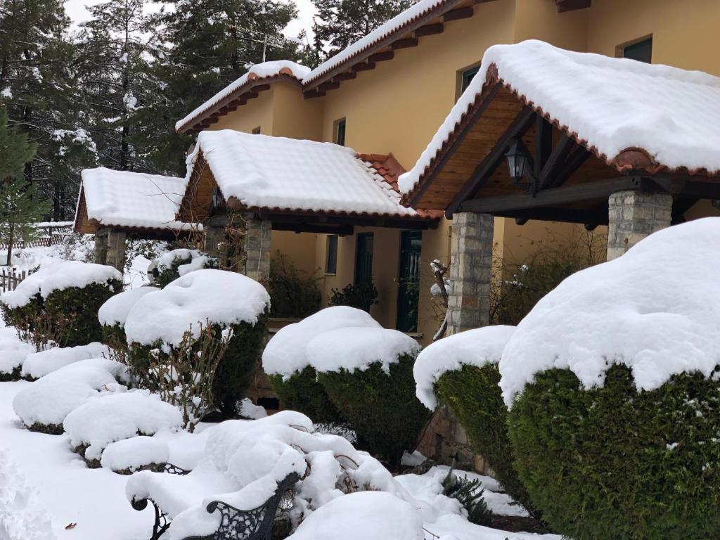 Aphrodite's Inn Kalavrita - 3