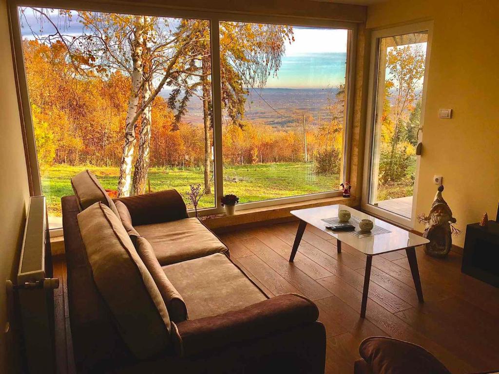 ein Wohnzimmer mit einem Sofa und einem großen Fenster in der Unterkunft Imanje POGLED in Aranđelovac