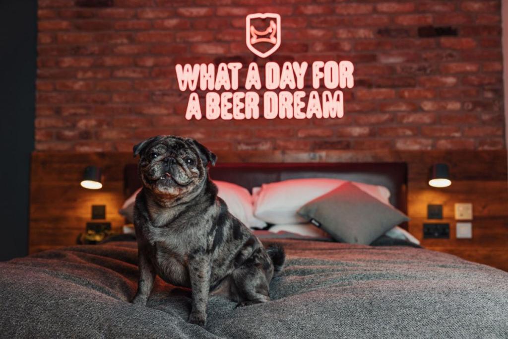 Postel nebo postele na pokoji v ubytování BrewDog DogHouse Edinburgh