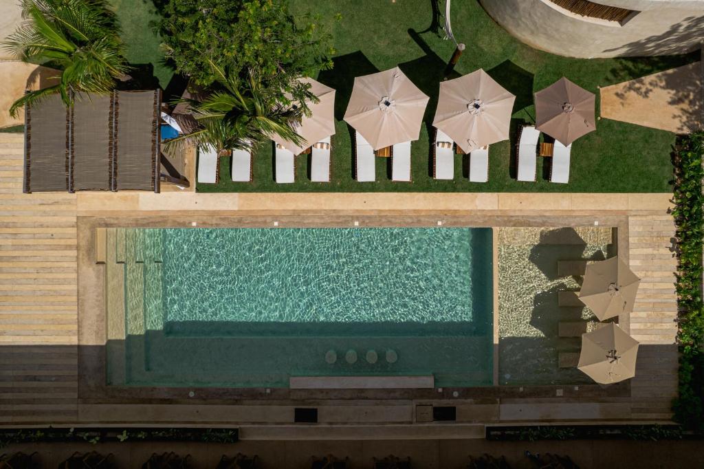 Destino Mío Mayan Jungle Retreat