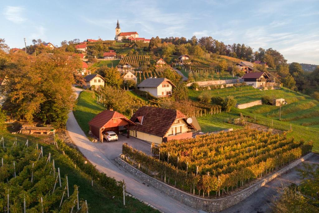a village on a hill with a bunch of vines at Vineyard cottage Hočevar in Novo Mesto