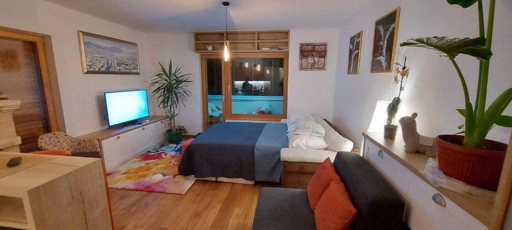 een slaapkamer met een bed en een tv. bij Apartment Babin Do in Bjelašnica