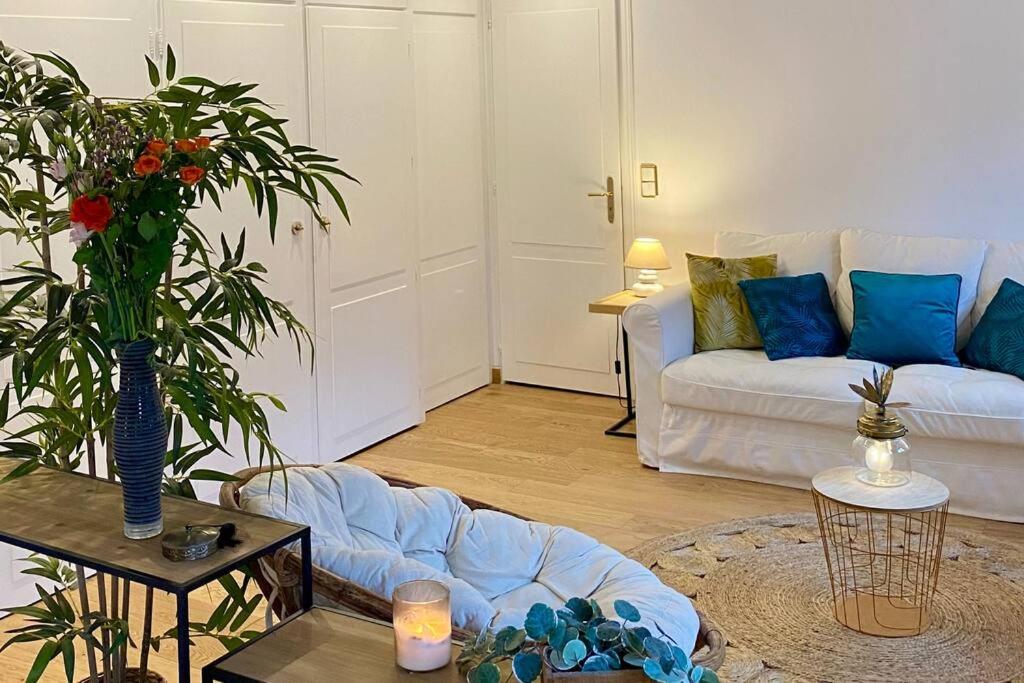 ein Wohnzimmer mit einem weißen Sofa und blauen Kissen in der Unterkunft Le Roseau - en plein coeur historique in Annecy