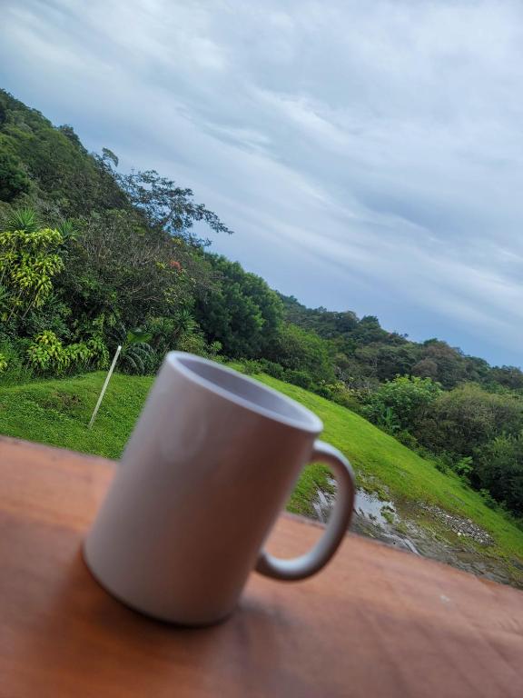 Cabinas Selva Verde - Apartment With Mountain View