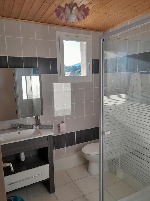 a bathroom with a shower and a sink and a toilet at Le Piolit in Prunières
