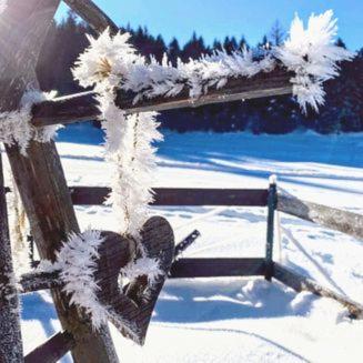 Zottlhof- dein Urlaubszauber auf 1.200m v zime