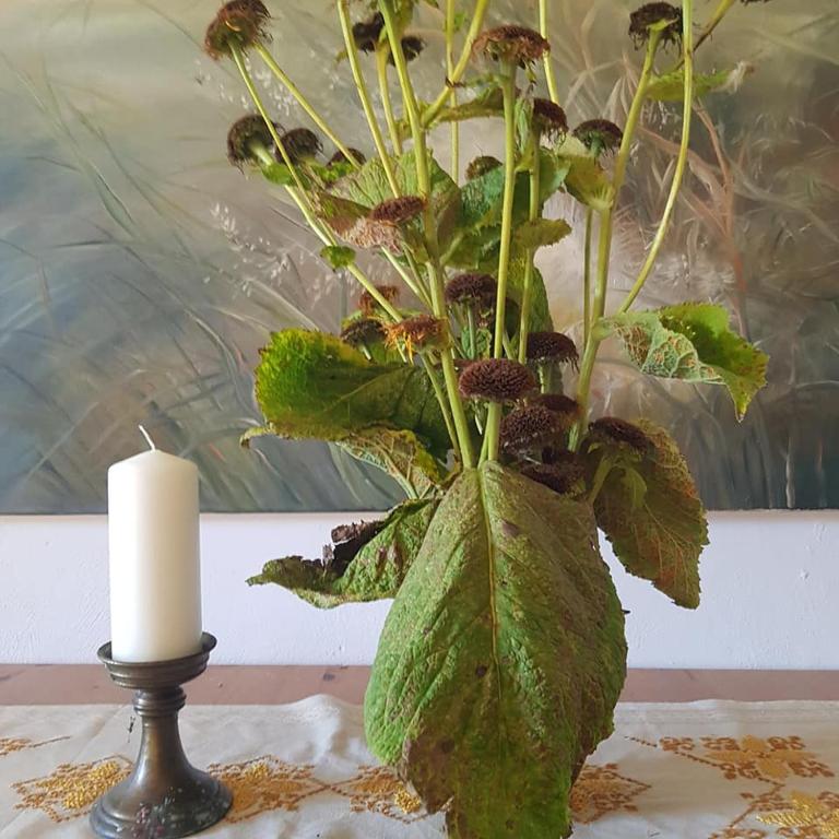 Fotografia z galérie ubytovania Pokoje Gościnne Art- Dworek v destinácii Kudowa-Zdrój