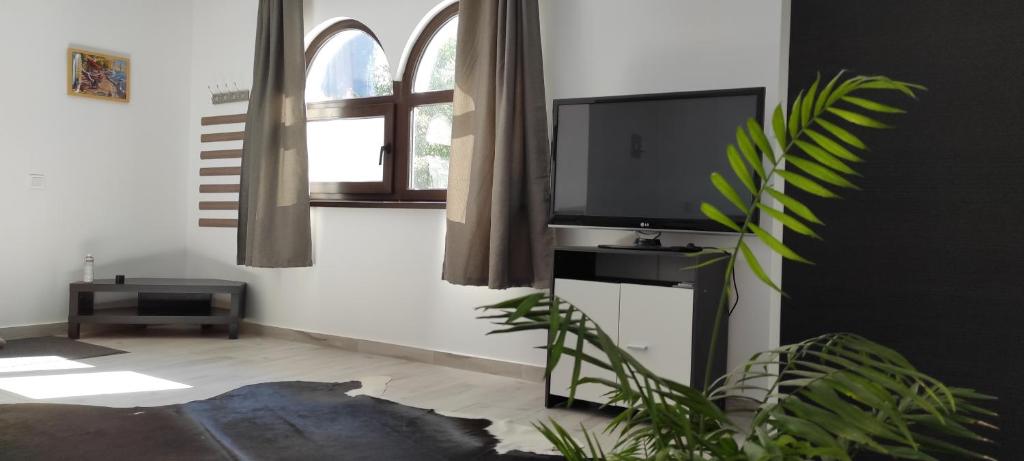 un salon avec une télévision à écran plat et une plante dans l'établissement ZEN SPOT Satic, à Sătic