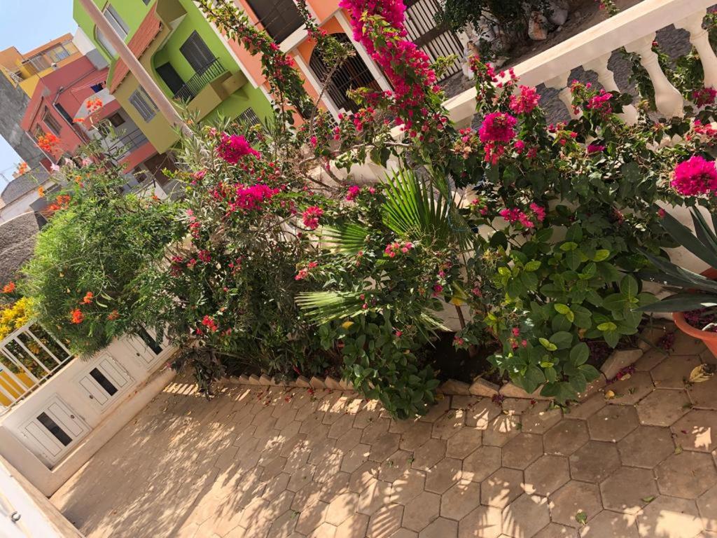 a bunch of pink flowers on a building at Apart Laginha in Mindelo