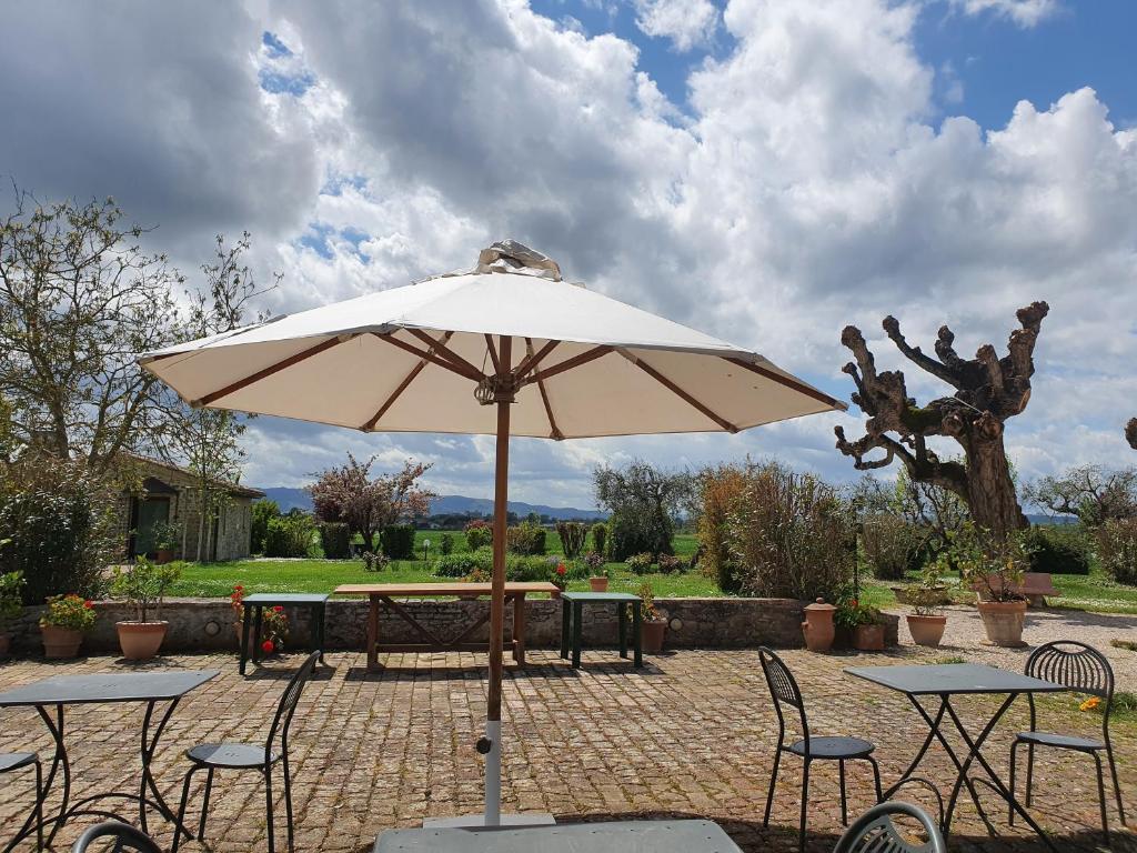 Zahrada ubytování Agriturismo Podere La Fornace