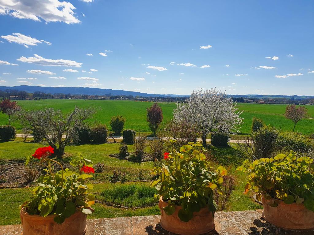 Zahrada ubytování Agriturismo Podere La Fornace