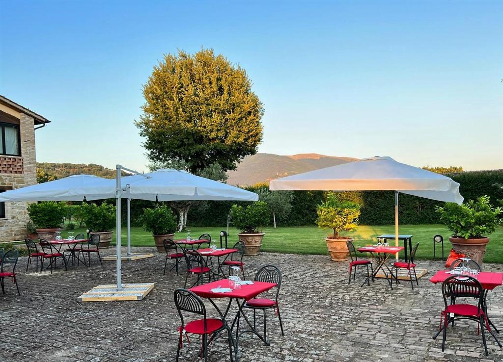 Zahrada ubytování Agriturismo Podere La Fornace