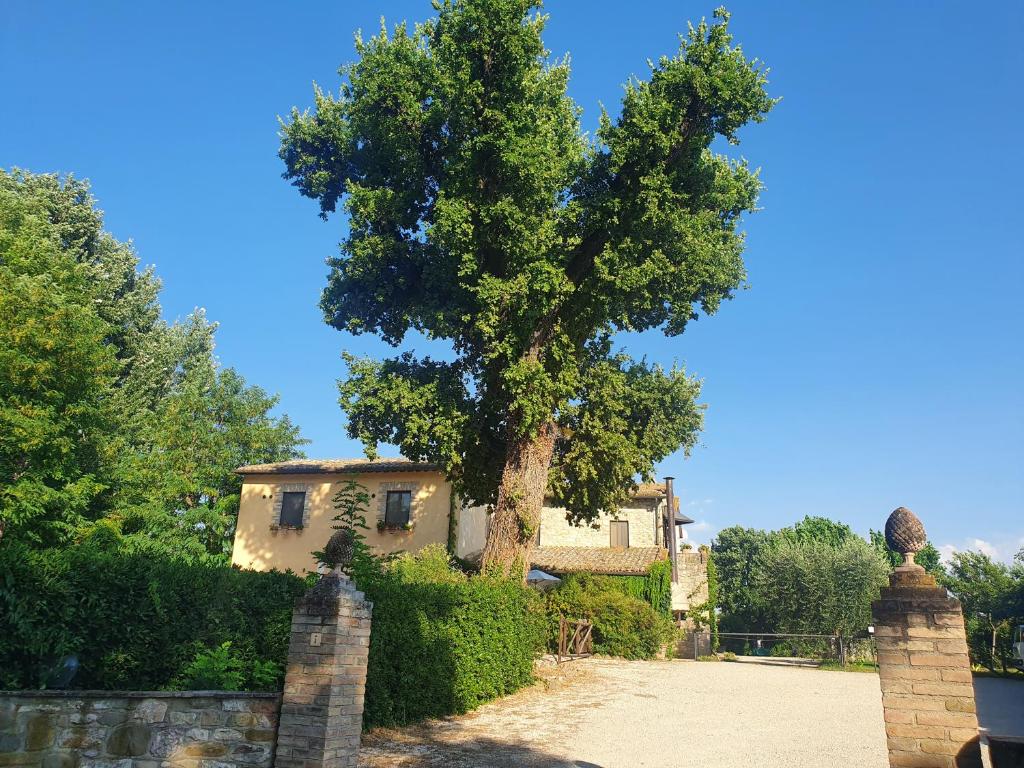 Zahrada ubytování Agriturismo Podere La Fornace
