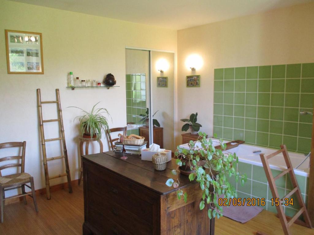 a kitchen with a tub and green tiles on the wall at Appartement La petite Résie in La Résie-Saint-Martin