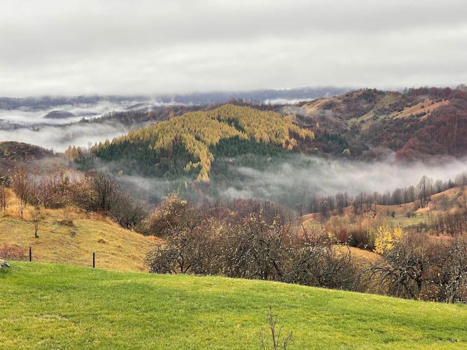 Valley View Breaza - Villa