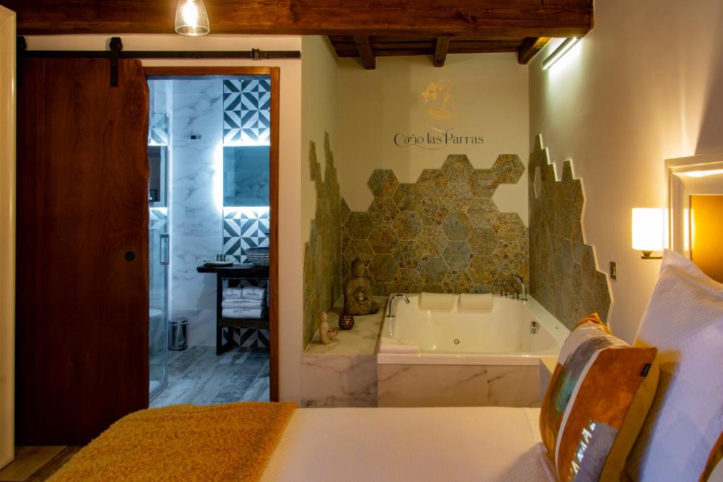 Apartamentos Caño las Parras - 13