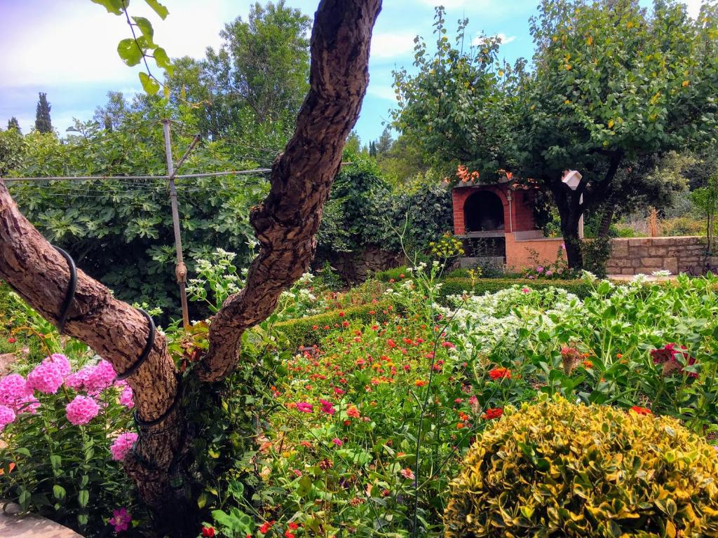 a garden with colorful flowers and a tree at Holiday home Sandra in Korčula