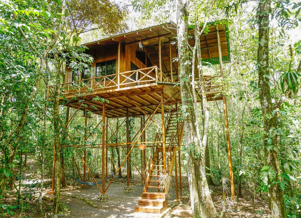 Florencia的住宿－Tree Houses Hotel Costa Rica，森林中的一个树屋