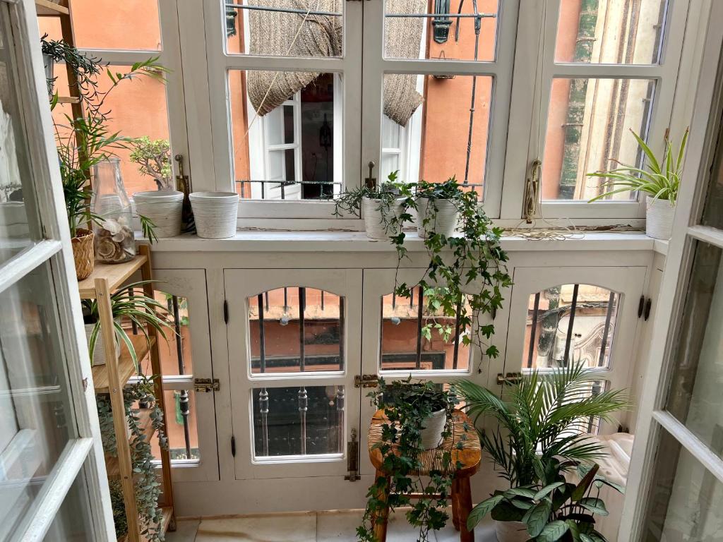 Balkón alebo terasa v ubytovaní iYOURBASICS Great Apartment Hinestrosa 23 FREE WIFI&AC