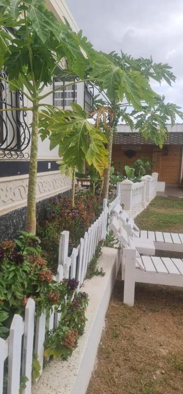Zahrada ubytování Al Moltaqua Chalet