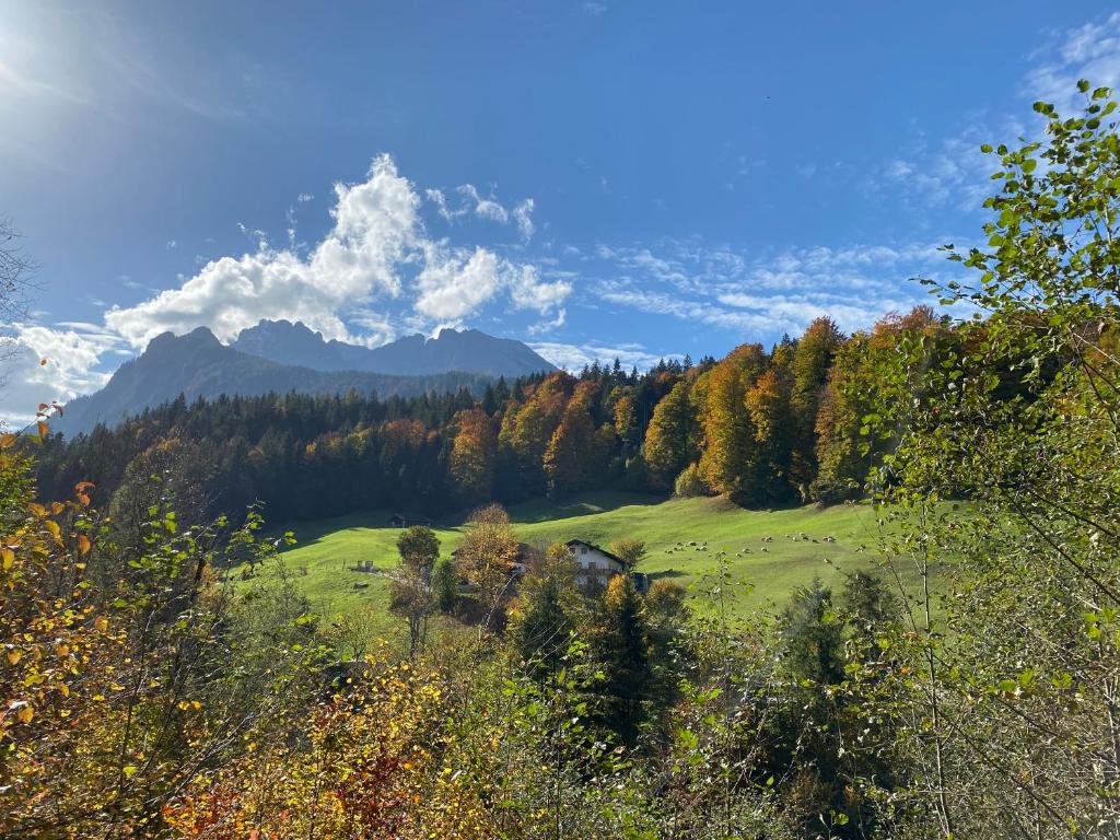 un campo verde con árboles y montañas al fondo en Wimbachlehen, en Ramsau