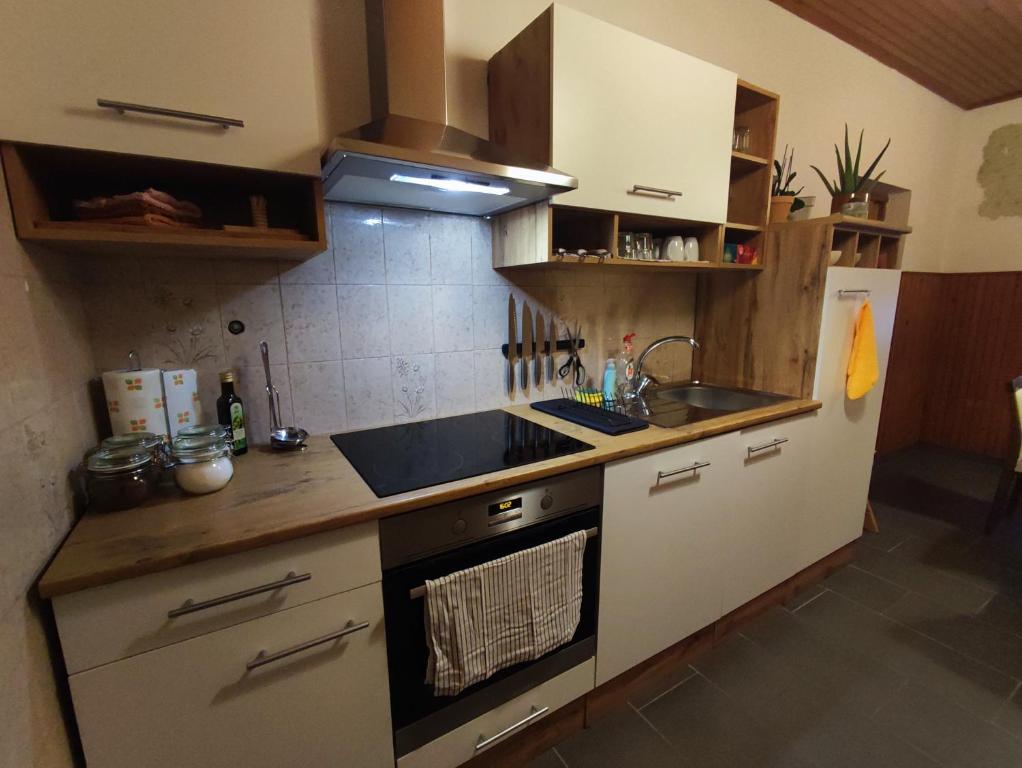 Kuchyň nebo kuchyňský kout v ubytování Family Hostel Pivka