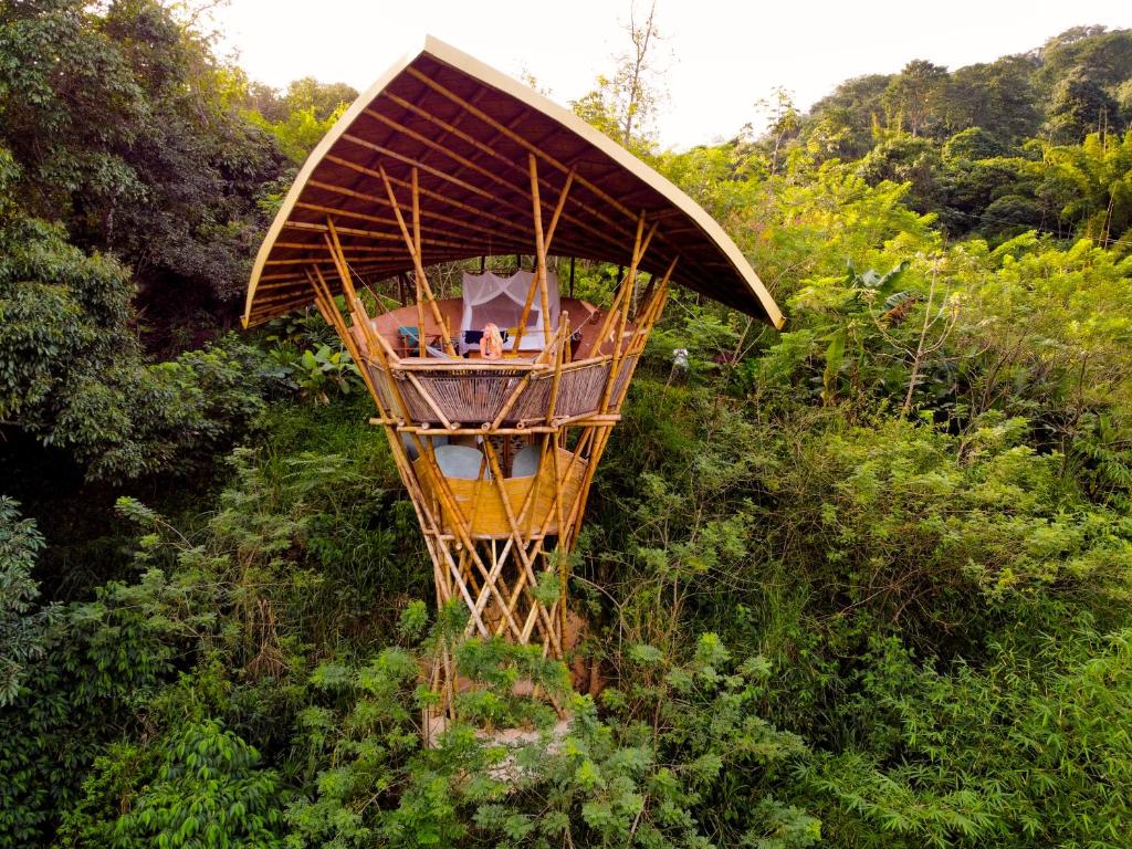 una casa en el árbol en medio de un bosque en SelvaMinca, en Minca