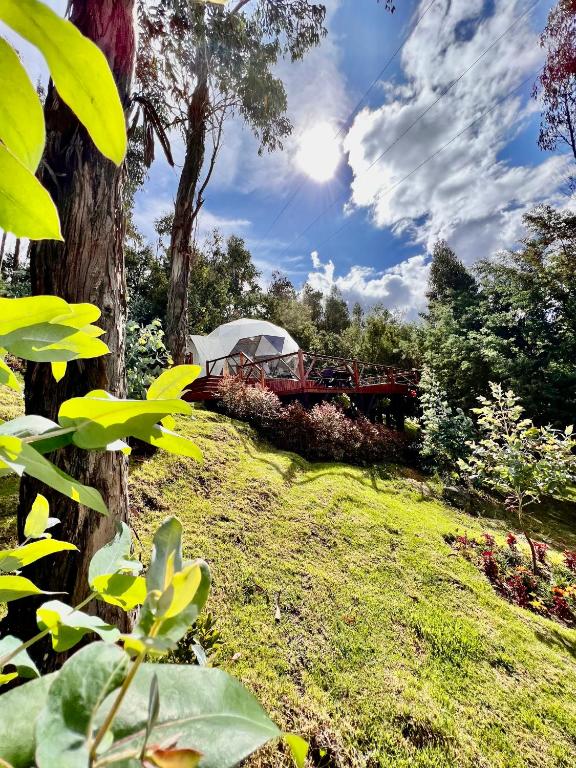 a grassy field with a white tent in the background at Golden Glamping in Guatavita