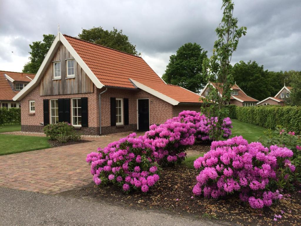 a bunch of purple flowers in front of a house at Buitenhuis de Bosuil in Hoge-Hexel