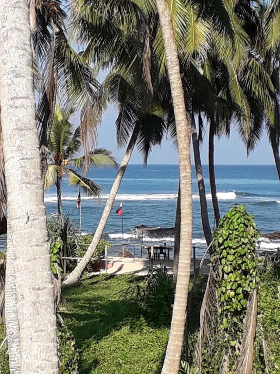 una playa con palmeras y vistas al océano en Villa 47 Akurala en Andurangoda