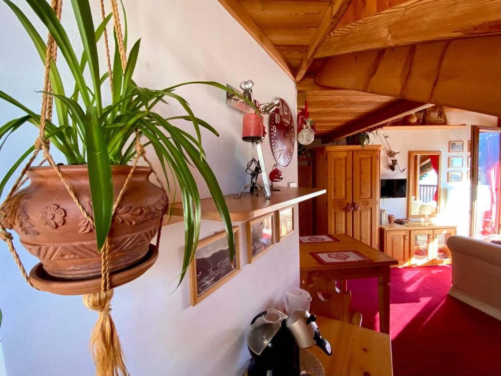 Monolocale in chalet alpino 022143-AT-010681, Madonna di Campiglio — foto della struttura 4