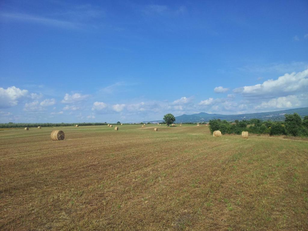 Táj a vidéki vendégház közelében