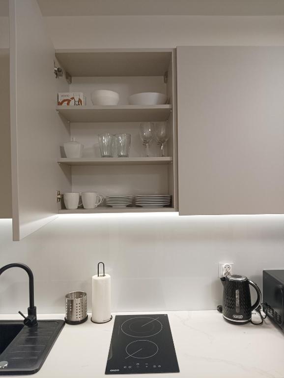Kuchyň nebo kuchyňský kout v ubytování Apartamenty Bianka
