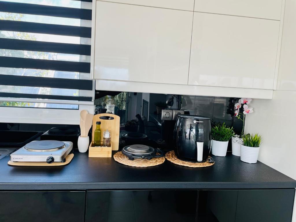 Kuchyň nebo kuchyňský kout v ubytování Sea View Luxury Studio Palaio Faliro