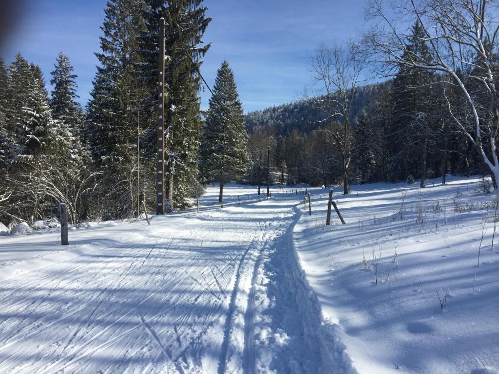 Domaine du Bugnon durante l'inverno