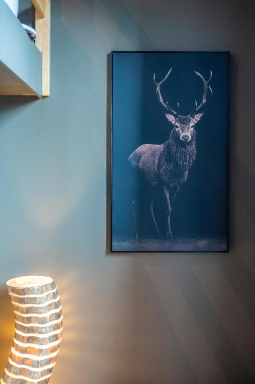 Fotografie z fotogalerie ubytování M-otel E40 v destinaci Wetteren