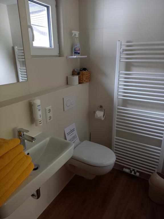 Pension Willischza - 18