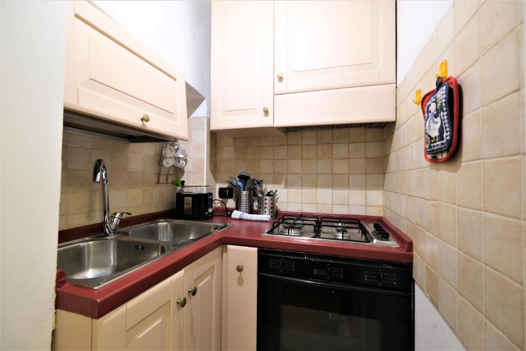 una piccola cucina con lavello e fornello di Wine Apartments Florence Dolcetto a Firenze