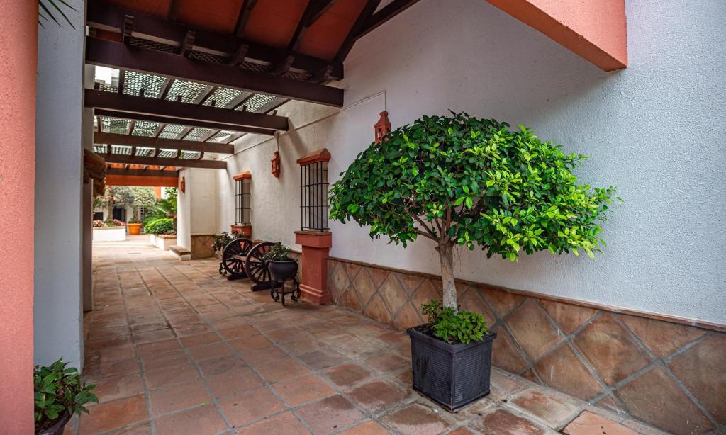 Zahrada ubytování Modern Apartment - 2 Bedrooms, Beachside - Puerto Banús